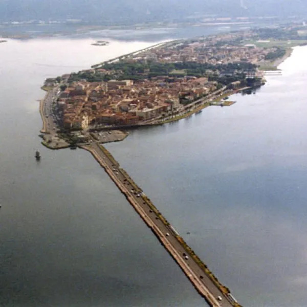 Manifesto Protetto: Take the “Green” out of the Lagoon